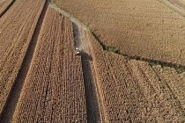 Tarım ve hayvancılıkta öncelikli yatırımlar için yol haritası çizildi