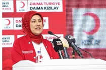 Türk Kızılaydan Gazze'ye sağlık desteği