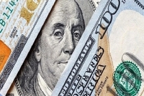 ECB Başekonomistinden Avrupa bankaları için 'dolar' uyarısı