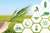 Tarımsal üretime yönelik Hazine destekli finansmana ilişkin limitler yeniden belirlendi