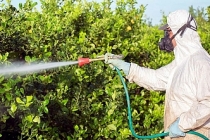 Böcek ilaçları ve zirai ilaçlar artık reçetesiz satılamayacak