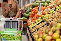 Ekonomik güven endeksi aralıkta aylık bazda aynı kalarak 99,5 oldu