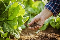 Gıdada sürdürülebilirlik için uluslararası AR-GE projeleri desteklenecek