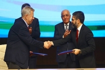 SOCAR, Türkiye'de 225 milyon dolara elektrik santrali aldı