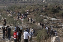 Katil İsrail, işgal altındaki Batı Şeria'da Filistinlilere ait 694 dönüm araziye el koydu