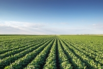 Tarım sezonunun ilk 3 ayında yağışlar yüzde 20 azaldı