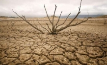 BM: Küresel sıcaklık artışının tehlikeli seviyelere ulaşabileceği uyarısında bulundu