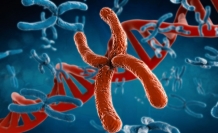 ABD'li genomik teknoloji şirketleri Türkiye'yi radarına aldı