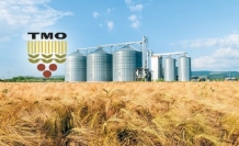 Toprak Mahsulleri Ofisi, üreticiden 1 milyon tonu aşkın hububat alımı yaptı