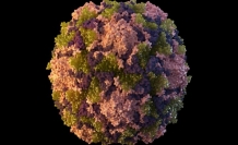 İtalya'da Batı Nil Virüsü vakaları artıyor