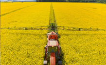 14 bin dekar boş arazi üretime açılıyor: Bakanlık kiraya çıkarıyor