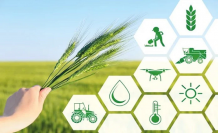 Tarımsal üretime yönelik Hazine destekli finansmana ilişkin limitler yeniden belirlendi