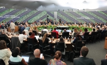 COP30: Bu yıl Brezilya'da toplanan zirveden neler bekleniyor?