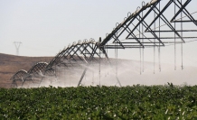 DAP Bölge Kalınma İdaresi 12 yılda 2 bin 86 projeye destek verdi