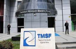 TMSF bir şirketi daha satışa çıkardı
