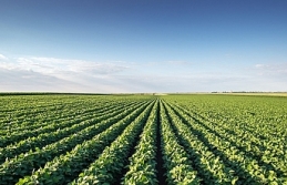 Tarım sezonunun ilk 3 ayında yağışlar yüzde 20 azaldı