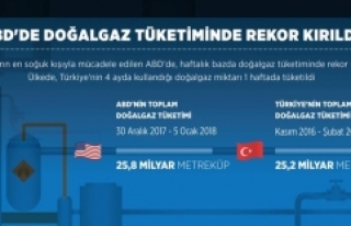 ABD'de doğalgaz tüketiminde rekor kırıldı