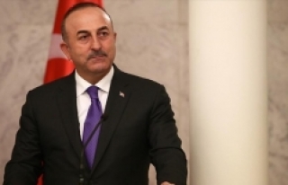 Dışişleri Bakanı Çavuşoğlu: Zeytin Dalı Harekatında...