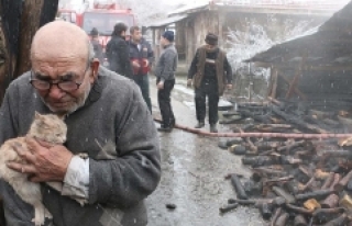 Kedisine sarılıp evinin yanışını izledi