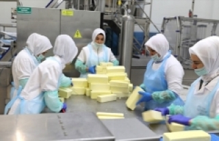 'Kelle peyniri'ni 14 ülkeye ihraç ediyorlar