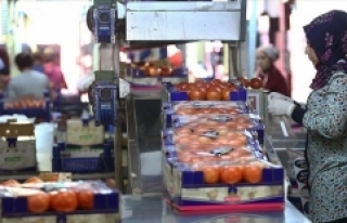 Rusya Türkiye'den domates ithalatını arttırabilir