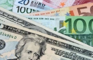 Türk CEO'lar döviz kurundan 'aşırı...