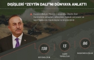 Dışişleri 'Zeytin Dalı'nı dünyaya...