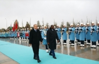 Erdoğan, Gambiya Cumhurbaşkanı resmi törenle karşıladı