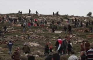 İsrail askerlerinden 'zeytin ağacı diken Filistinlilere'...