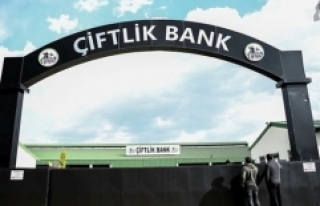 Çiftlik Bank benzeri 65 şirket radarda