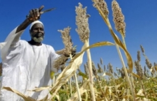 Türkiye ve Sudan'dan tarımsal alanda iş birliği