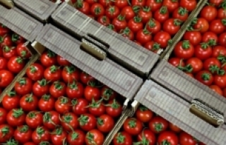 Rusya, Türk domatesine yönelik kısıtlamaları...