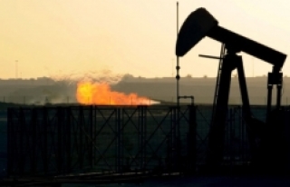 TPAO'dan petrol arama ruhsat başvurusu
