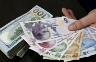IIF: Güçlü dolar Türkiye'ye zarar verdi