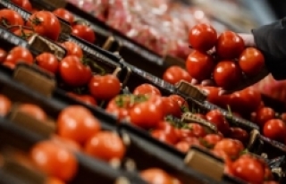 Rusya'nın domates yasağı resmen kalktı