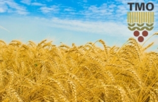 TMO, buğday satış fiyatlarını belirledi