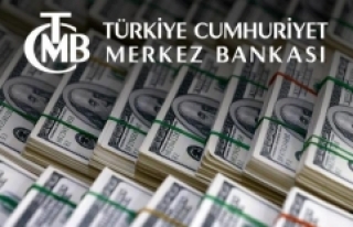 Merkez'in rezervleri 305 milyon dolar azaldı