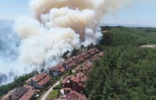 Bursa'da yangın: Yerleşim yerlerine doğru...