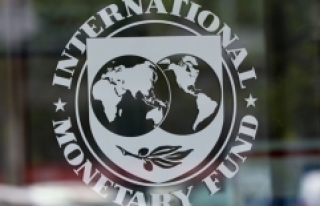 IMF'den Türkiye açıklaması: Talep gelmedi,...