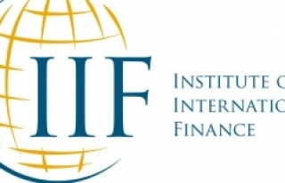 Uluslararası Finans Enstitüsü: TL adil değerinin...