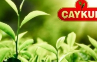 ÇAYKUR tarihinin en büyük ikinci yaş çay alımını...