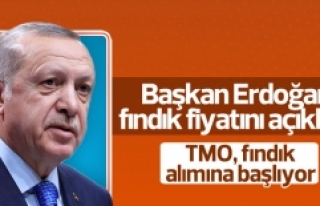 Erdoğan, fındık alım fiyatını açıkladı