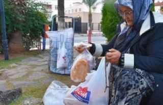 Sahipsiz hayvanları 30 yıldır besliyor