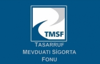 TMSF'ye geçen 'sorunlu şirketler'...