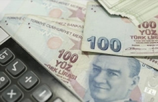 Kamunun imalat yatırımlarında en yüksek pay gıdanın