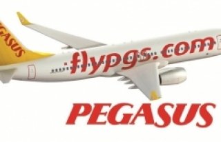 Pegasus'a uluslararası ödül