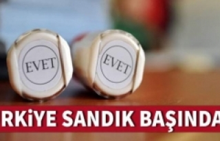 Türkiye sandık başında