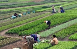 Tarım Şurası toplanacak