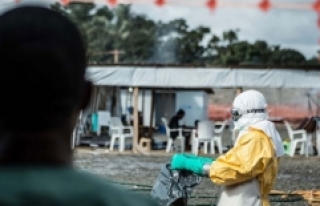 Dünya Sağlık Örgütü: Ebola salgınının yayılma...