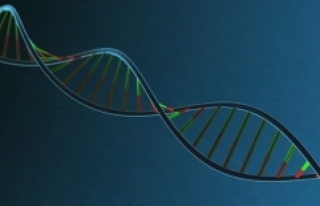 İnsan DNA'sının müziği notalara döküldü